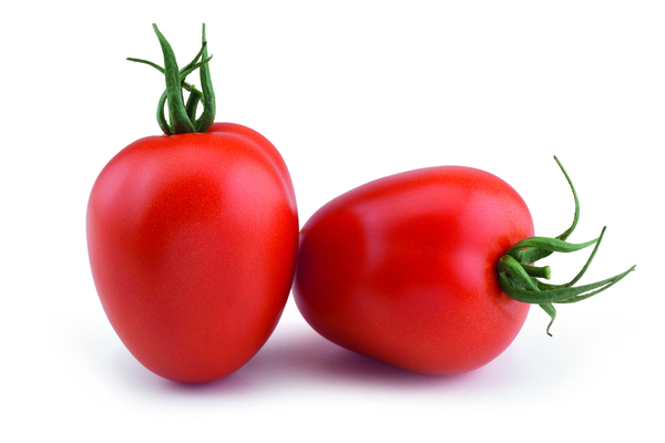 Saladette