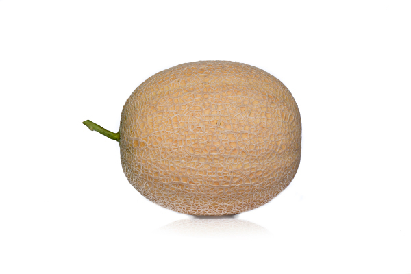Harpper