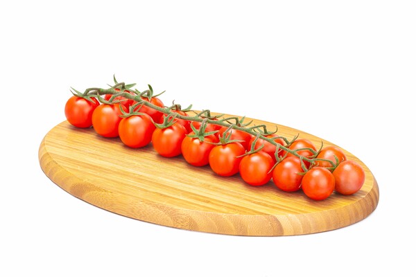 Tobforta